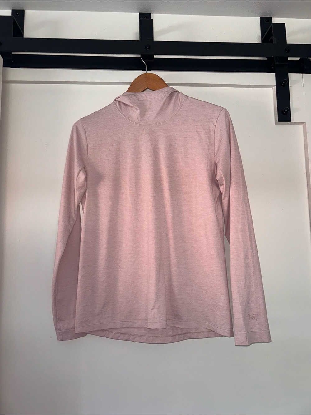 Women’s pink Arc'teryx Taema Hoody